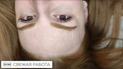 Спелая пшеница Брови Анны Куцеволовой - pm-shop24.ru