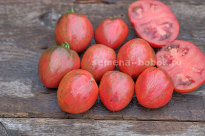 Томат Dwarf Grail (Гном Грааль), 10 шт