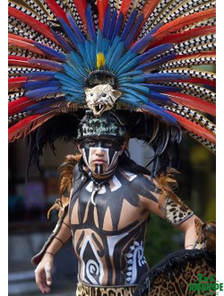 Кофе из Центральной и Южной Америки