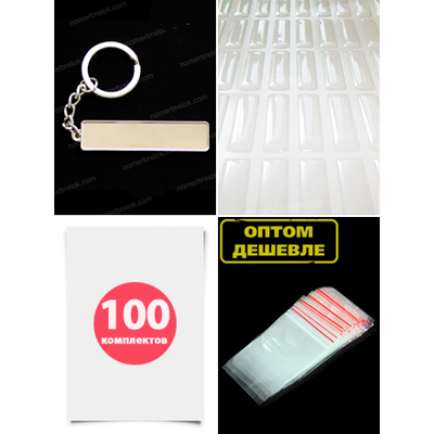 КОМПЛЕКТ 100 ШТ.: БРЕЛОК ГОС. НОМЕР АВТО. С БОРТИКАМИ «СТАНДАРТНОЕ КРЕПЛЕНИЕ» — СЕРЕБРО. 51*12,9 мм.