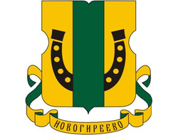 РЕКЛАМА В ЭЛИТНЫХ ДОМАХ МОСКВЫ РАЙОН НОВОГИРЕЕВО