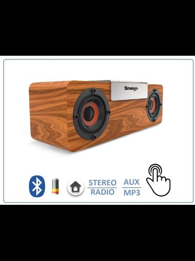 SMALODY SL-50S Bluetooth колонка СТЕРЕО, радио FM, с аккумулятором для использования в помещении