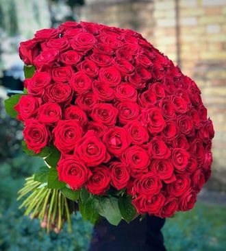 101 красная роза 80 см  "Восторг"