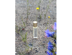 Духи МАЛЬВИНА НА СВОБОДЕ 15 мл