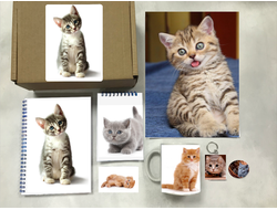 Бокс с котиками №6