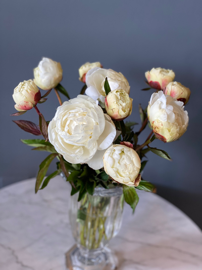 Пион Энн Казинс