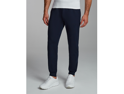 Спортивные брюки мужские ( 21SBM-1132) (темно-синий)