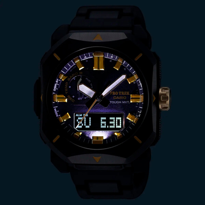 Часы Casio Pro Trek PRW-6900ZE-1