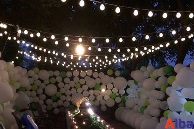 Уличная лампа для Белт-лайта PRO Е27, 2Вт, d=45 мм, БЕЛАЯ ХОЛОДНАЯ