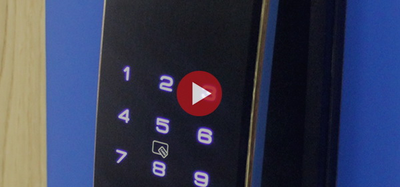 Стальная дверь   Lamborghini. Заказная модель.