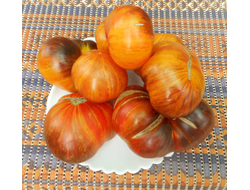 Томат Мечта Алисы (Alise's Dream), Польша