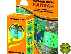 КАПКАН ЛОВЧИЙ ПОЯС "ЗЕЛЕНАЯ АПТЕКА САДОВОДА" (2Х75 СМ) ЭКО-ЗАЩИТА