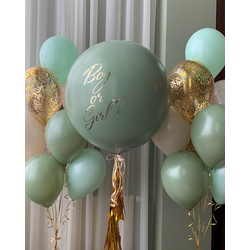 Гендер - шар определение пола с двумя связками (эвкалипт)