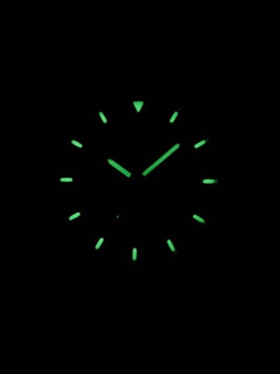 Наручные часы Seiko SNZG09K1