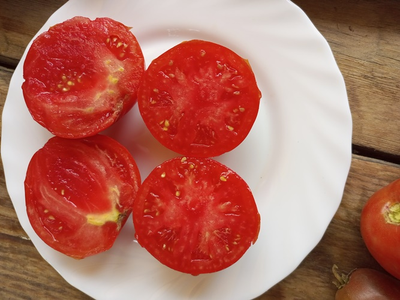 Томат Эм-чемпион