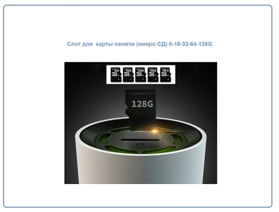 Видеоняня /WiFi видеокамера панорамная с DVR (fish_G), HD)