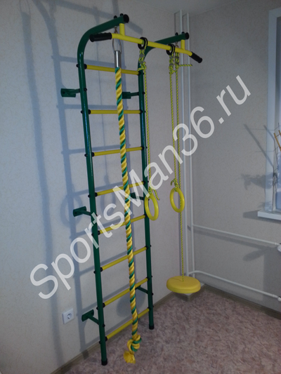 ДСК ПИОНЕР-С1НМ