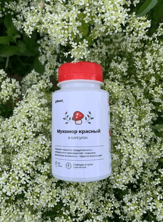 Мухомор Красный (Amanita Muscaria) 120 капсул, 2 месяца приёма, от griboed с Алтая