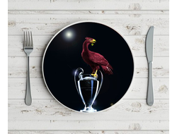 Тарелка Ливерпуль, Liverpool FC №6