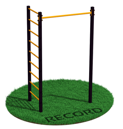 Уличный турник + шведская стенка с турником-брусьями и скамьей Record R4W-1 профиль 60х60х2 мм