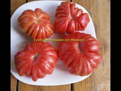 Томат Грибное лукошко полосатое