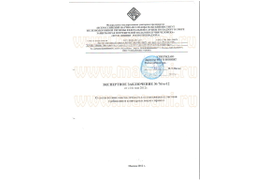 ЭКСПЕРТНОЕ ЗАКЛЮЧЕНИЕ № 76м-12