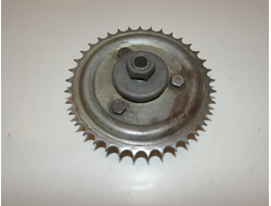 Ведомая звезда Рига 24