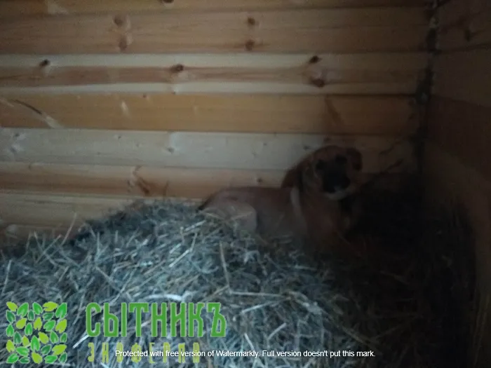 Экотуризм в Подмосковье