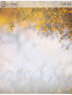 Фотофон на холсте «Цветы мимозы»