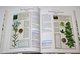 Энциклопедия лекарственных растений. Целительная сила природы для вас. М.: Readers Digest. 2004г.