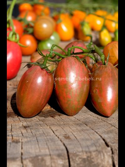 Томат Javelin (Копье), 10 шт