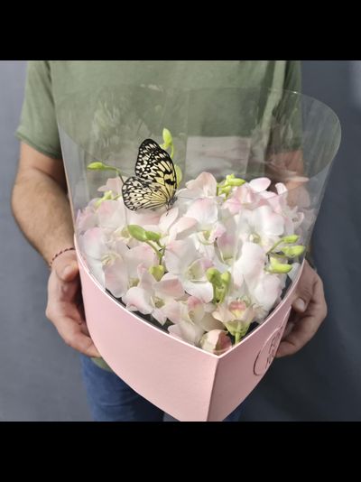 Нежный букет с орхидеями и бабочкой №114