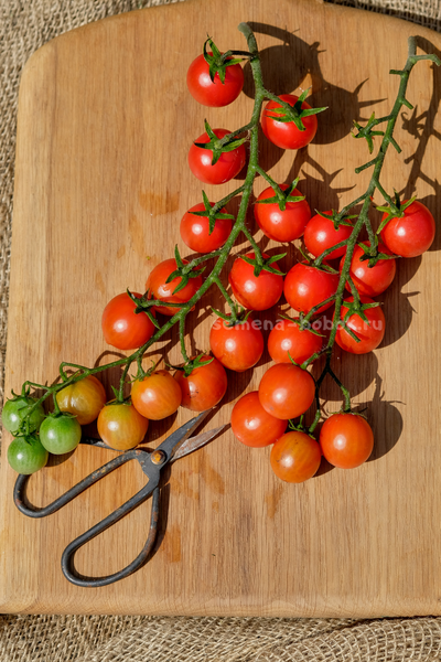 Томат Черри Аннабель, 10 шт