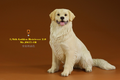 Белый ретривер (сидящий) - Коллекционная ФИГУРКА 1/6 scale Animal Model Golden Retriever 2.0 (MRZ057-1B) - Mr.Z