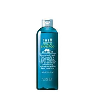 Шампунь для мужчин THEO SCALP SHAMPOO ICE MINT