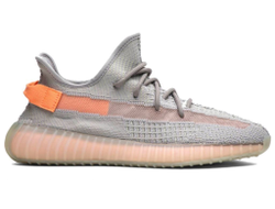Кроссовки Adidas Yeezy Boost 350 v2 True Form