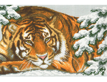 Амурский тигр (356)