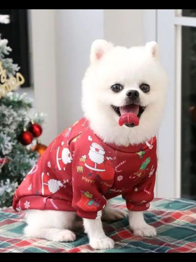 Кофта Picturest Cанта красная