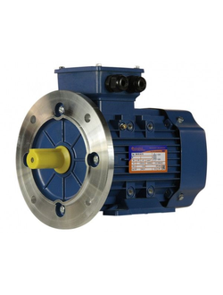 Электродвигатель 5АИ 80А6 (0,75 кВт) IM 2081