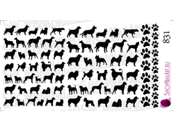 Слайдер дизайн 831