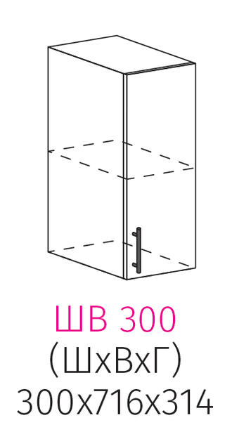 ШВ 300 Шкаф настенный 1-дверный