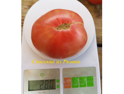 Томат Спасские из Рязани