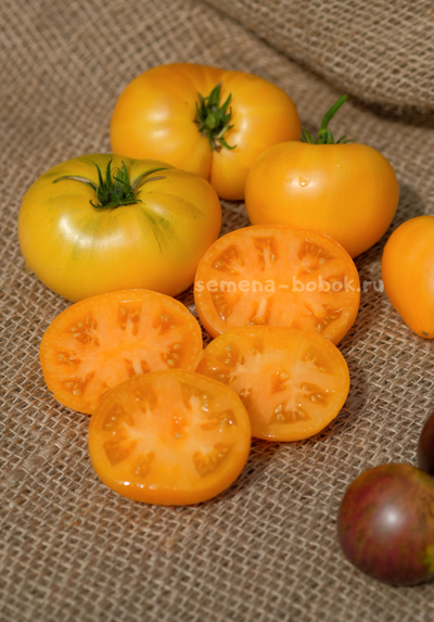 Томат Dwarf Tanager (Гном Танагер), 10 шт