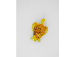 Сувенир - магнит "Черепаха полосатая"