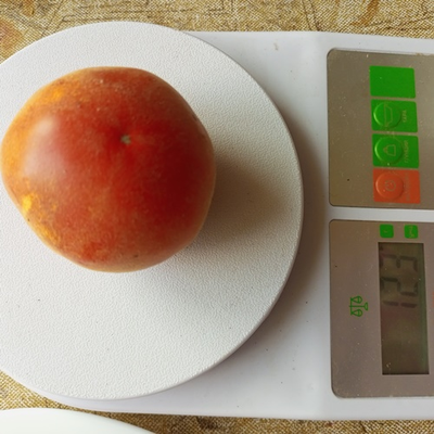 Томат Персик