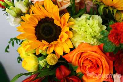 ЦВЕТОЧНАЯ КОМПОЗИЦИЯ № 117