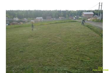 КП "Пушкино лайф"