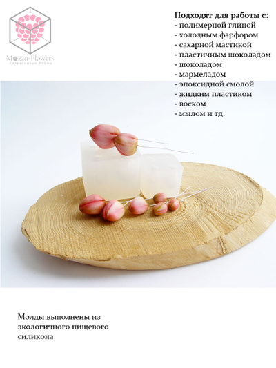 Набор молдов "Бутоны орхидеи фаленопсис"