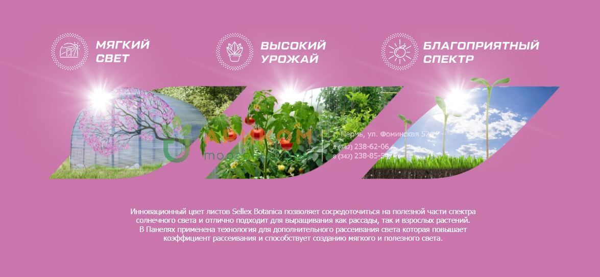 Селлекс Ботаника розовый поликарбонат в наличии в Перми в Ариком