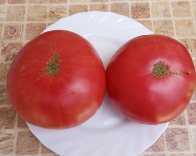 Томат Розовый из Пералеса (Rosa de Perales) Испания